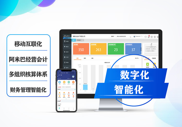 財(cái)務(wù)管理系統(tǒng)