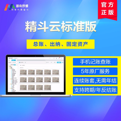 金蝶精斗云標(biāo)準(zhǔn)版