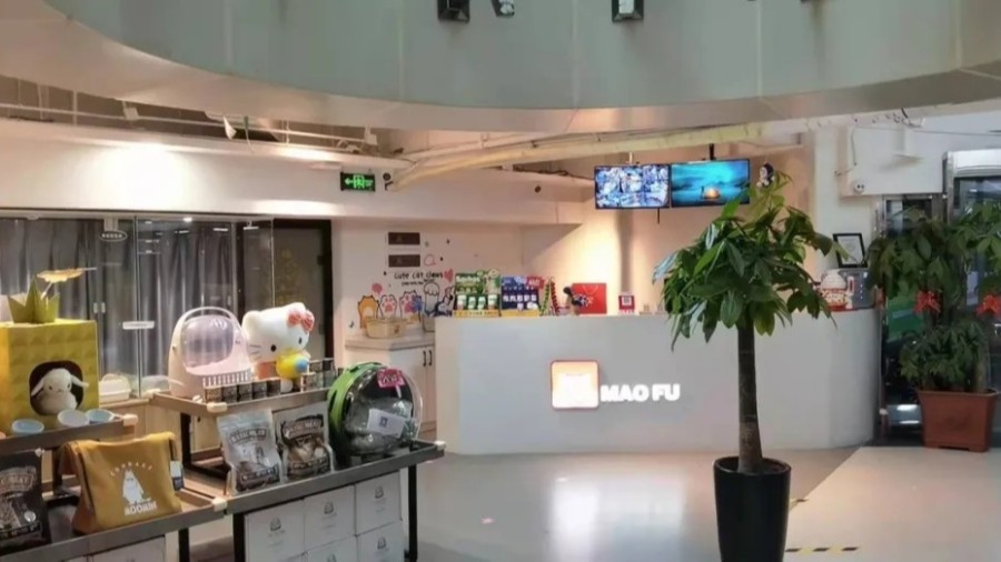 金蝶云星辰寵物行業(yè)案例：新零售時(shí)代，寵物企業(yè)如何決勝市場(chǎng)?